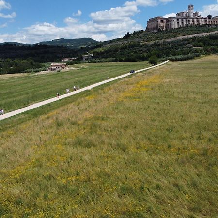 Agriturismo Molinella Assisi Bagian luar foto